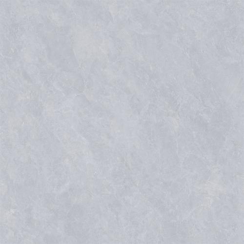 8CS005P