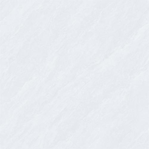 8CS006P