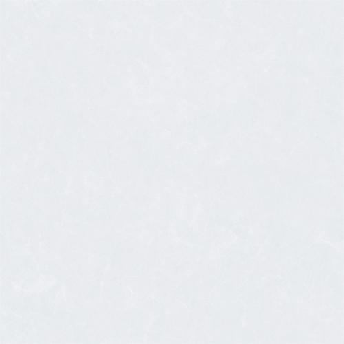 8CS027P