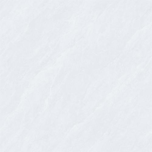 8CS006---2