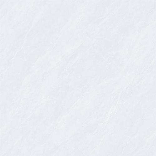 8CS006---4