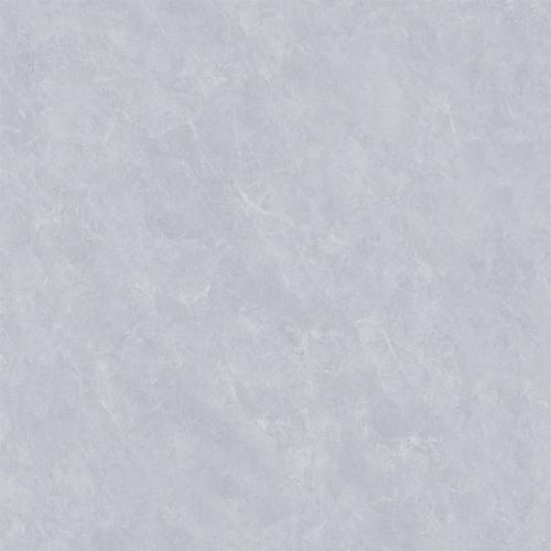 8CS005---2