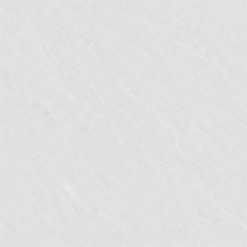 ZTX8101P-(4)