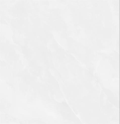ZTX8105P-(5)